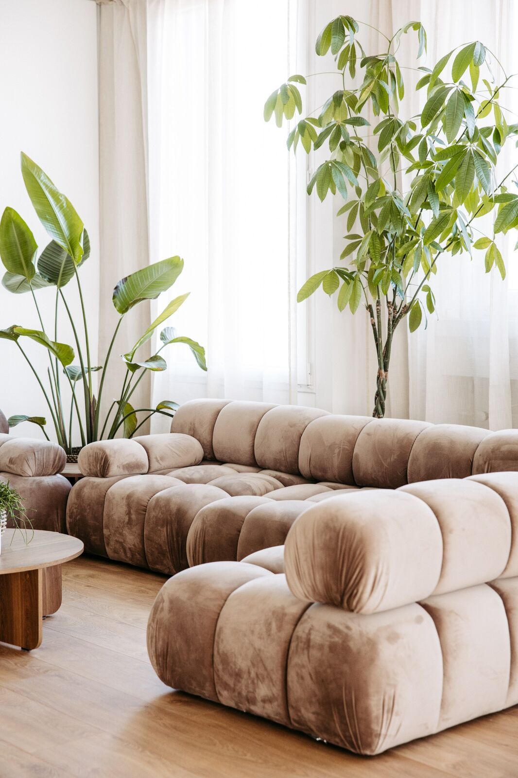 Lounge mit Samtsofa und Pflanzen im Hub